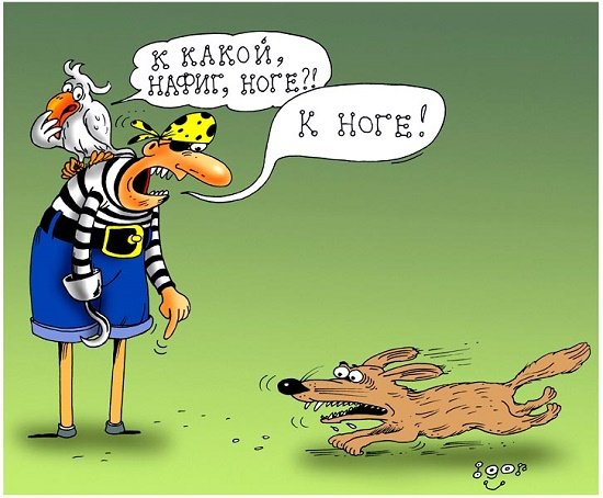 Злая собака в будке