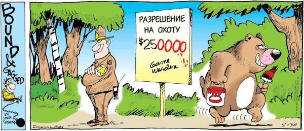 Медведь охотник юмор