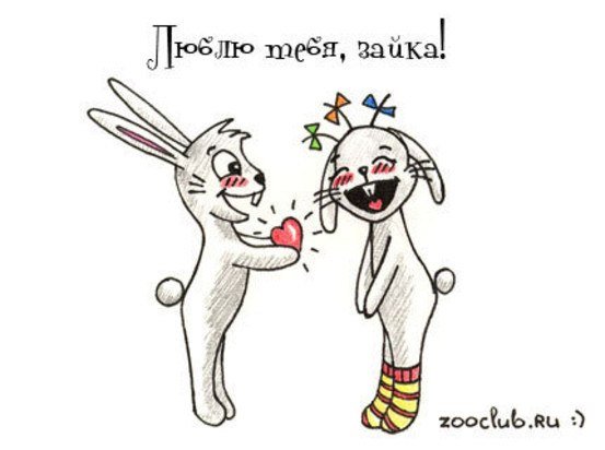 Заяц ну вот комикс