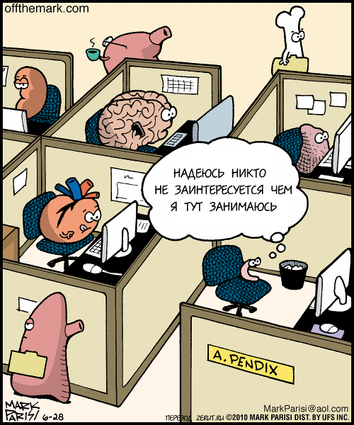 Юмор про офисных работников