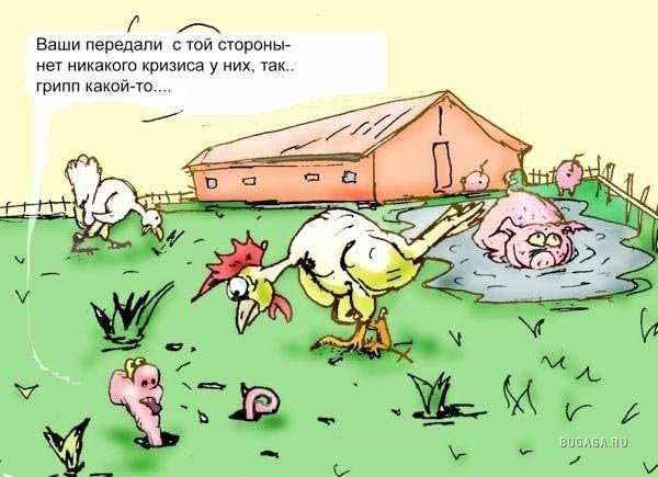 Птичий грипп юмор