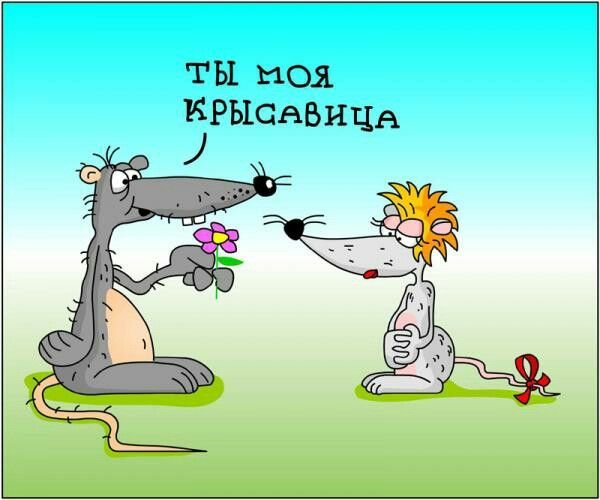 Карикатуры с животными смешные