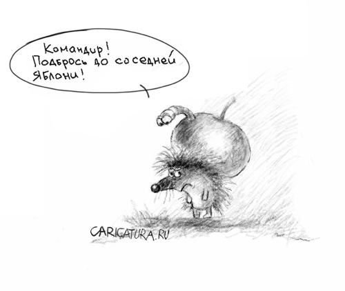Карикатура на ежа