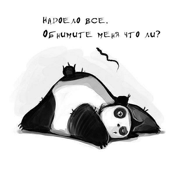 Цитаты про панд