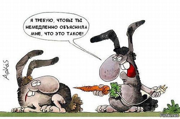 Заяц прикол