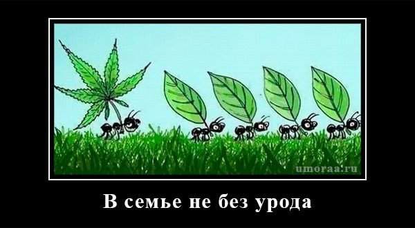 В семье не без урода пословица