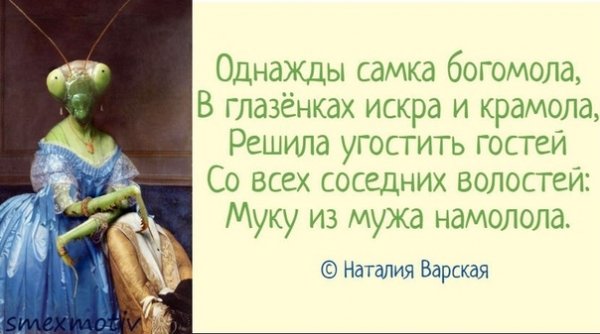 Самка богомола цитаты