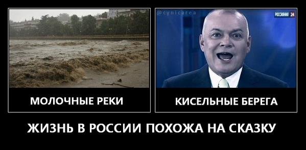 Владимир Соловьев карикатура