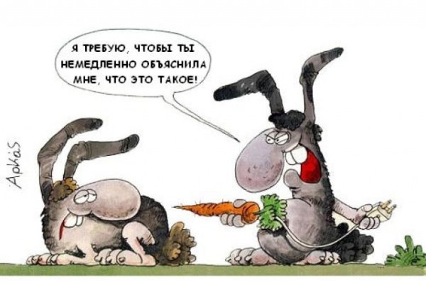 Приколы про Зайцев