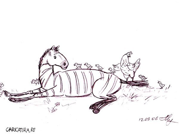 Сидячая Зебра карикатура