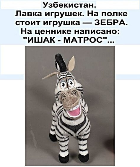 Психическая атака матросы на зебрах