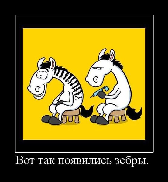 Зебра мультяшный смешной