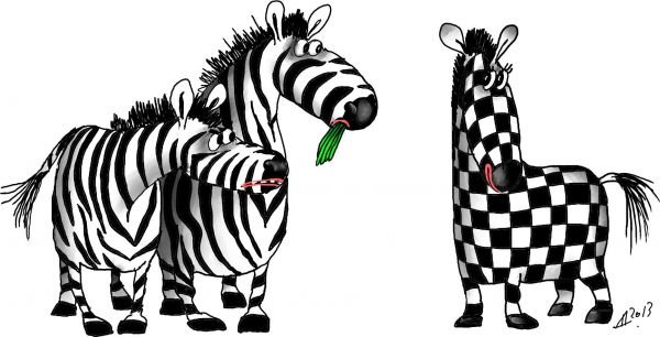 Жизнь Зебра