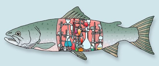 Атлантический лосось карикатура