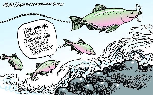 Семга карикатуры