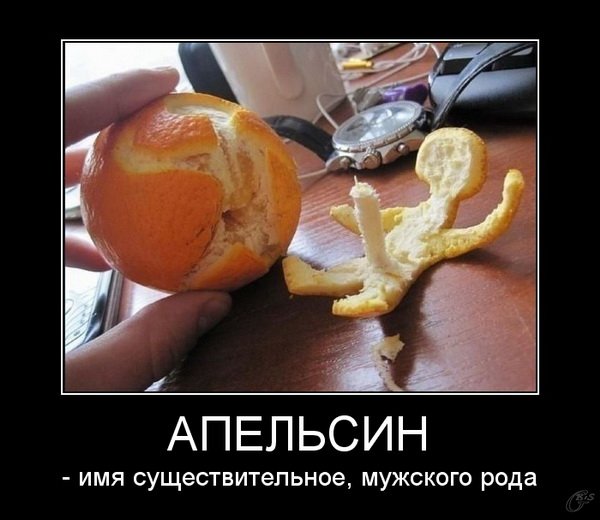 Бёрджесс портрет