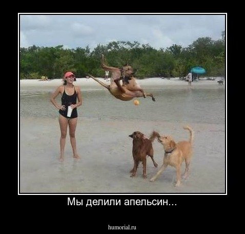 Американские карикатуры комиксы