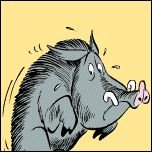 Прикольные надписи на свинье