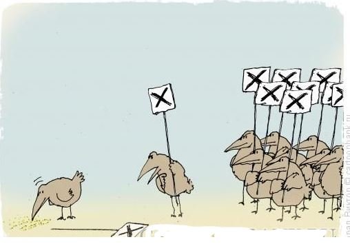 Свиньи предатель карикатура