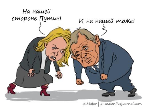 Татьяна Голикова карикатура