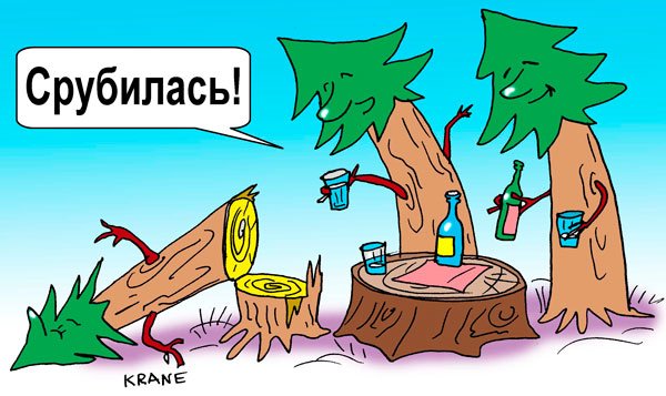 Приставы Корсун