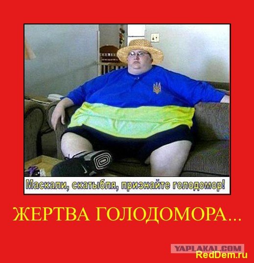 Ирландские карикатуры