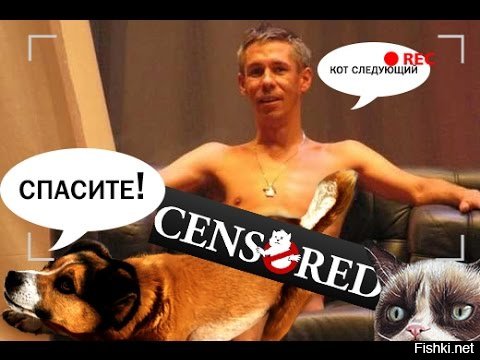 Панин с собакой мемы