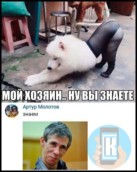 Панин с собакой мемы