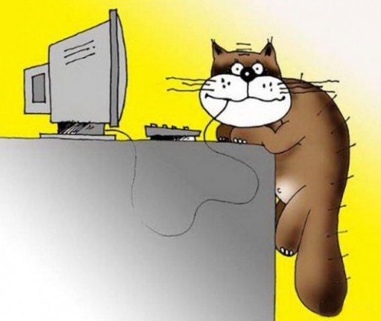 Карикатуры про котов