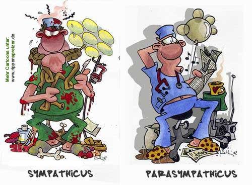 Шутки про анестезиологов