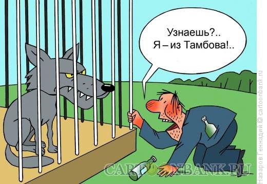 Тамбовский волк карикатура