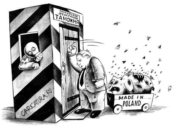 Поляки и украинцы карикатура