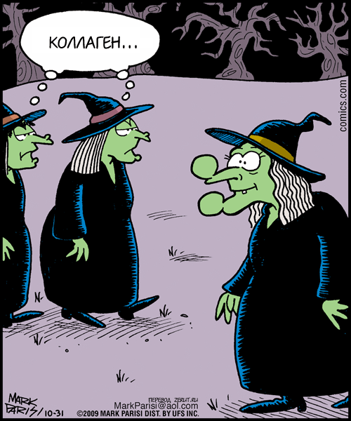 Шутки про ведьм