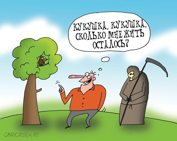 Анекдот про кукушку