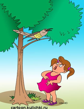 Кукушка шарж