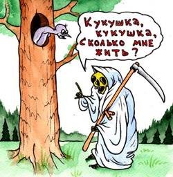 Убить кукушку карикатура