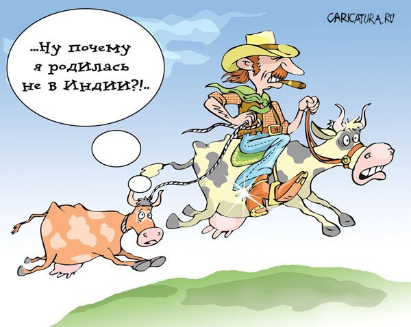 Бык карикатура