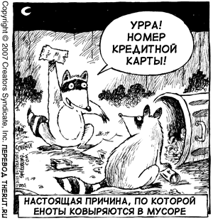 Енот карикатура шарж