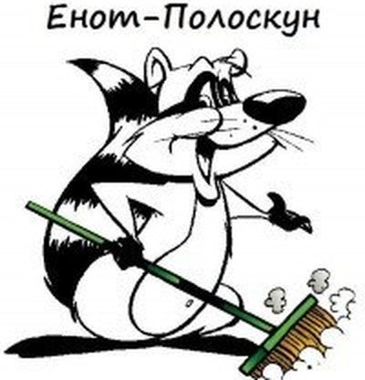 Енот полоскун химчистка Истра