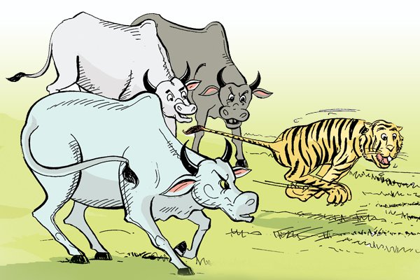 Карикатуры на тигров