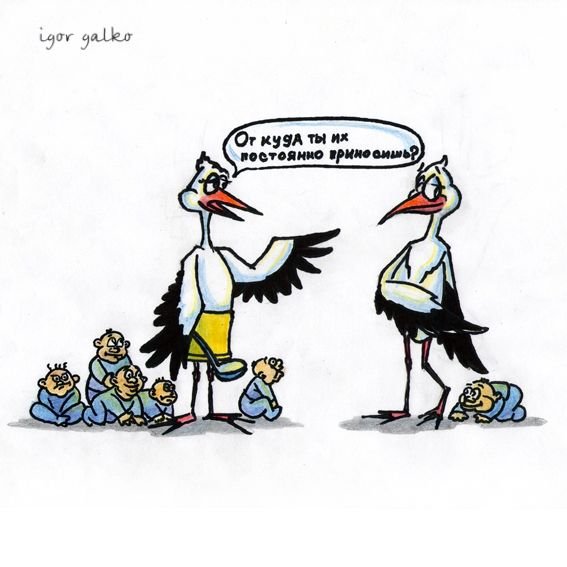 Шутки про аиста