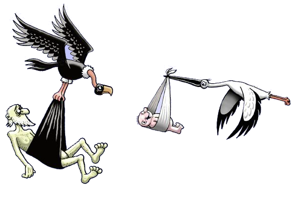 Аист карикатура