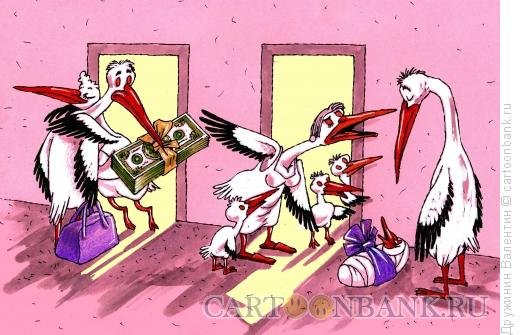 Аист прикол