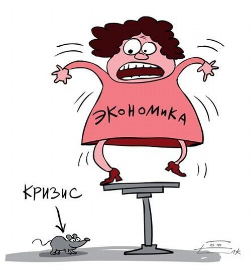 Финансовый кризис карикатура