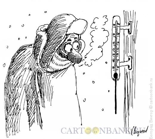 Холод карикатура