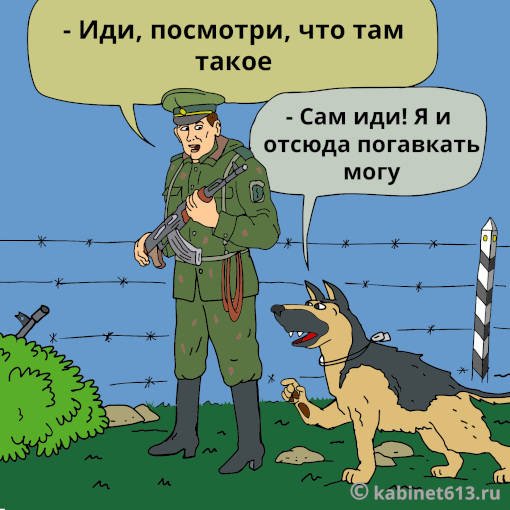 Анекдоты про пограничников