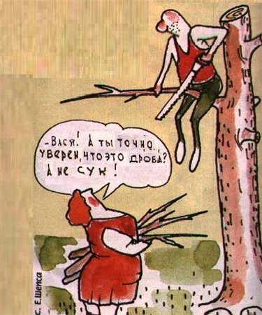 Шутки про дрова