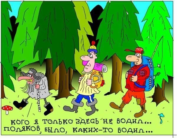 Сусанин и поляки карикатура