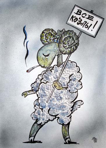 Овцы на судах