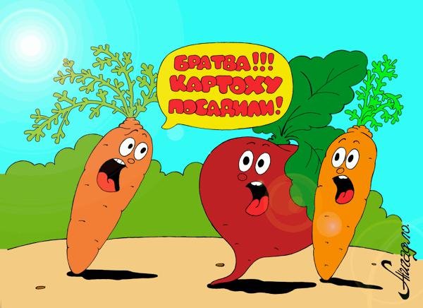 Приколы с овощами и фруктами